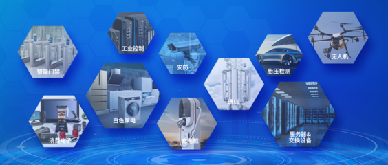 大普技术 智能技术领域的技术开发与应用前景